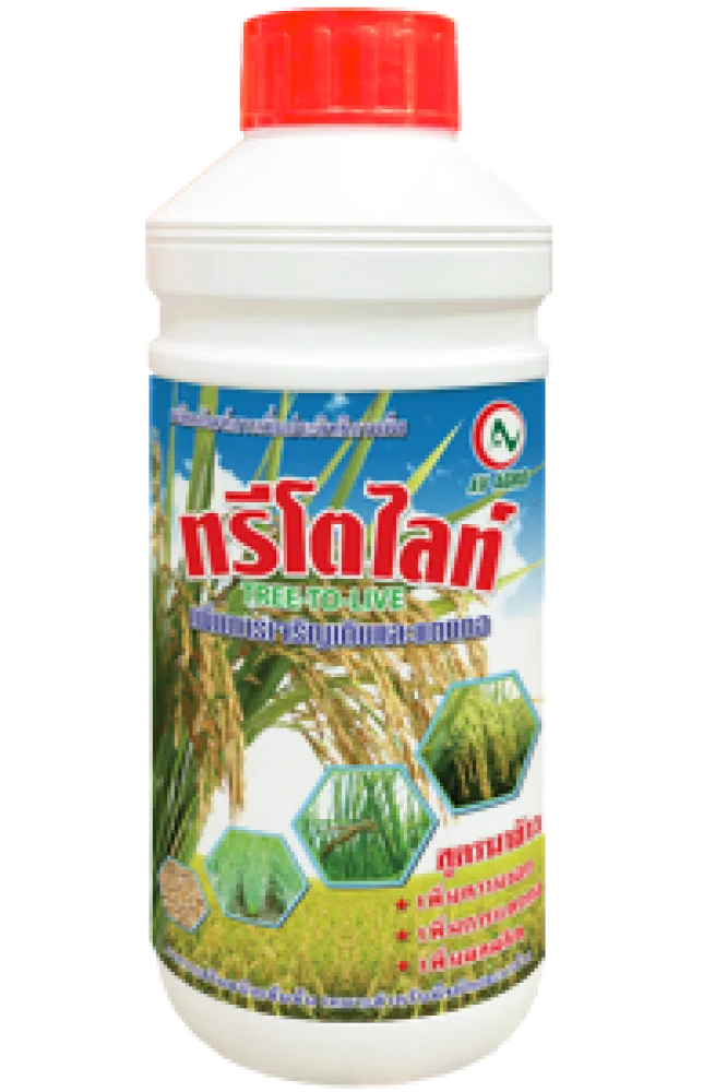 ทรีโตไลท์ นาข้าว